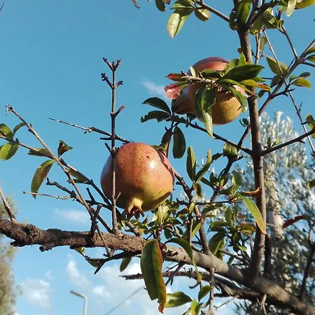 Mit Balkon Und Meerblick דירה